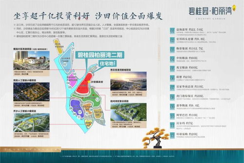 东莞 真的有那么好吗 到底能不能买