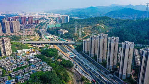 好消息 东莞又一批重要道路通车了